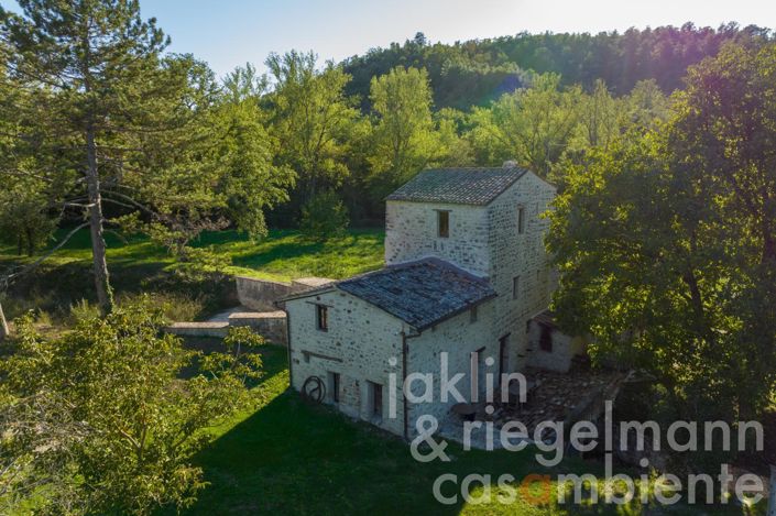 Image No.7-6 Bed Country House for sale