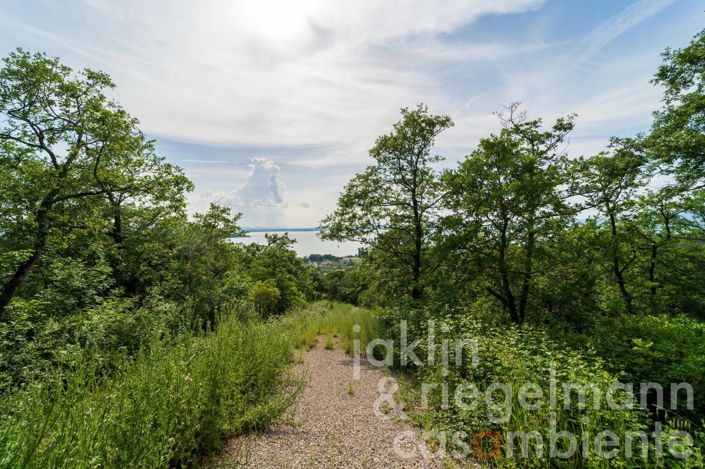 Image No.14-Maison de campagne de 3 chambres à vendre à Magione