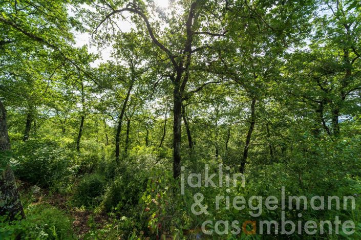 Image No.18-Maison de campagne de 3 chambres à vendre à Magione