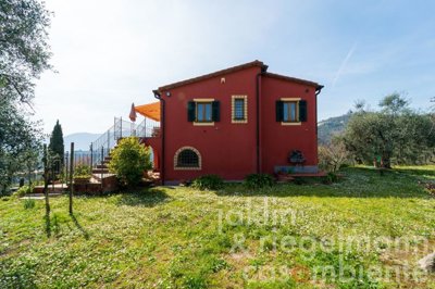 6421ed813a2b4m401910