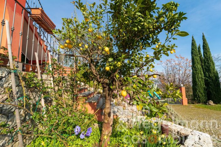 Image No.38-Maison de campagne de 5 chambres à vendre à La Spezia