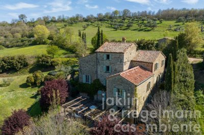 6448f4b61ff89m403105