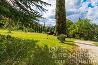 645cb927a7768m4034pontecutti10