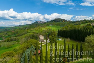 645cb81aa69fbm4034pontecutti01