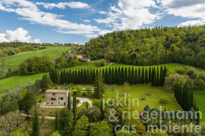 645cb82b81c01m4034pontecutti02