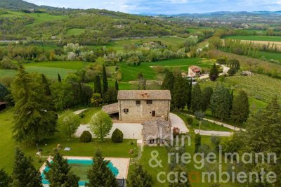 645cb85a27e3em4034pontecutti04