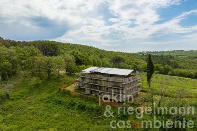 646b9d9913e97m403603