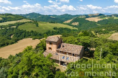 6490adeee809bm405614