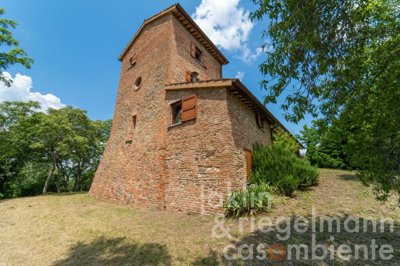 6490ae2d405d6m405617