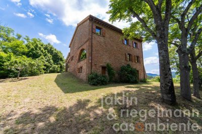 6490ae61c02a9m405619