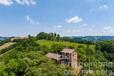 6490ad94e1462m405608