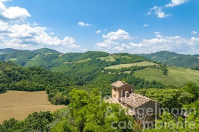 6490adc58cb23m405612