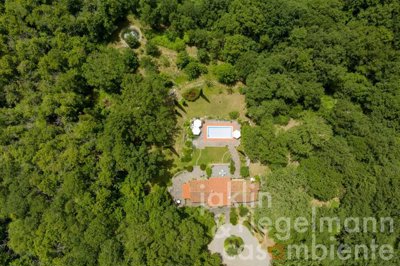 649bf89d1c583m405709