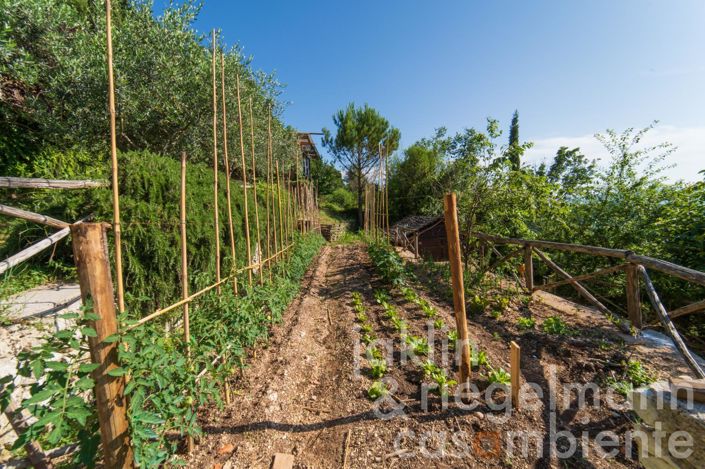 Image No.77-5 Bed Country House for sale