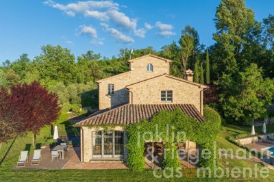 664cb817197fdm4076101