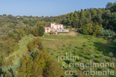 64d62433812f1m408008