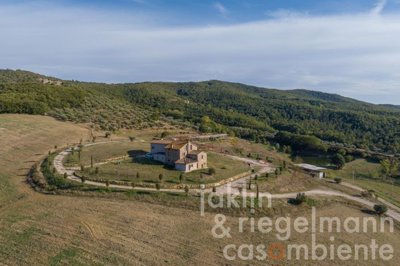 65368539ccf04m410110