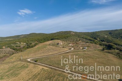 65368527c266fm410112