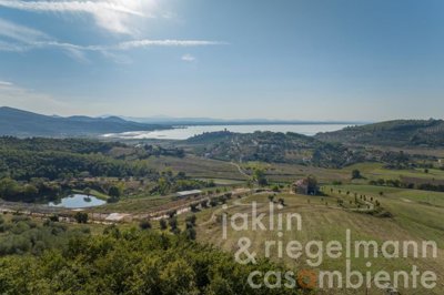 65368542174fdm410107