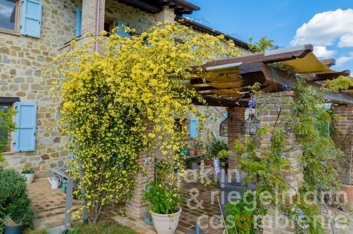 Image No.6-5 Bed Country House for sale