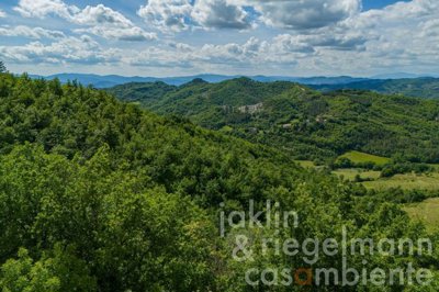 665da16bade75m411005