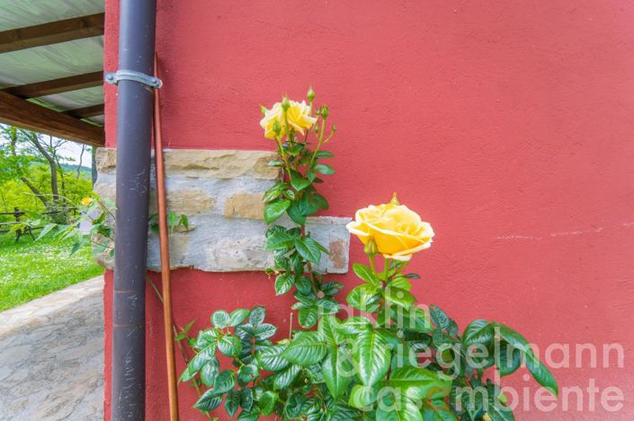 Image No.32-2 Bed Country House for sale