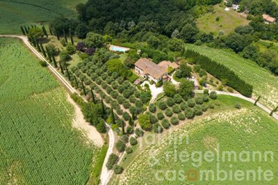 669e39ca20cecm415211