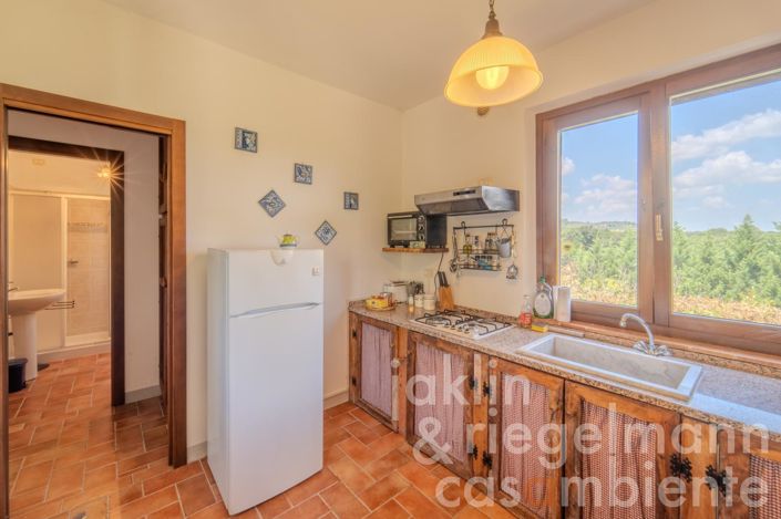 Image No.43-10 Bed Country House for sale