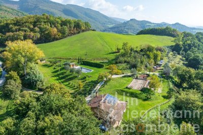 67408cf036804m416811