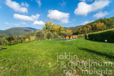 67408d37bfd7cm416801