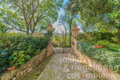 6798f81c883aam417309