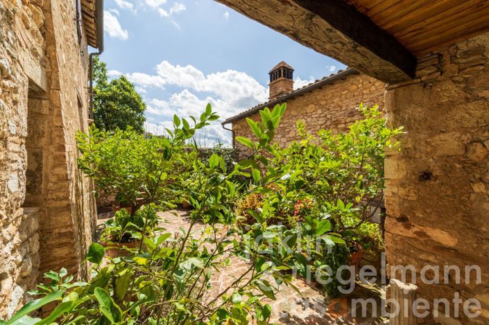 Image No.41-8 Bed Country House for sale