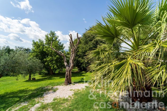 Image No.50-8 Bed Country House for sale