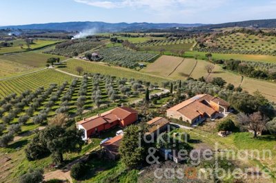 67a71e1b1e58am419510