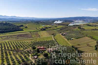 67a71e25711c6m419511