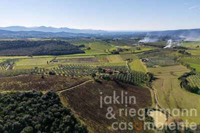 67a71e2d94d5fm419512