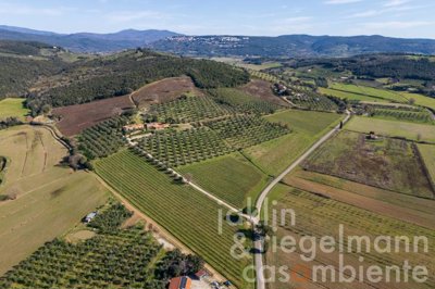 67a71e46cf3b0m419514