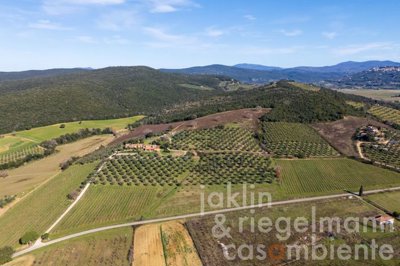 67a71e534f6c2m419515