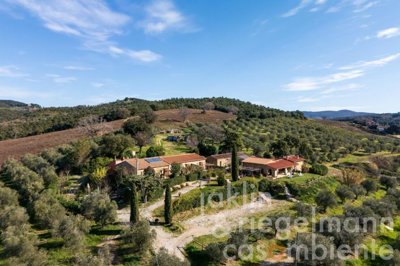 67a71dbaec10dm419502