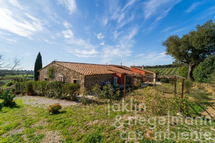 Image No.26-Ferme de 9 chambres à vendre à Massa Marittima