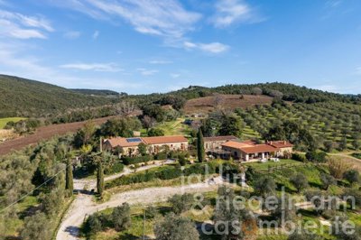 67a71dc775b49m419503