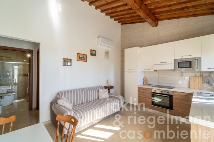 Image No.40-Ferme de 9 chambres à vendre à Massa Marittima