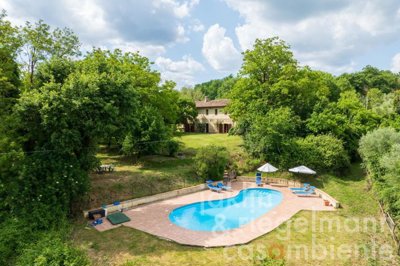 6842d4b472ab9m419814