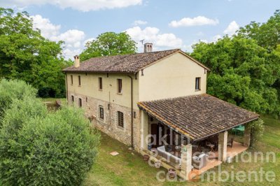 6842d49669731m419804