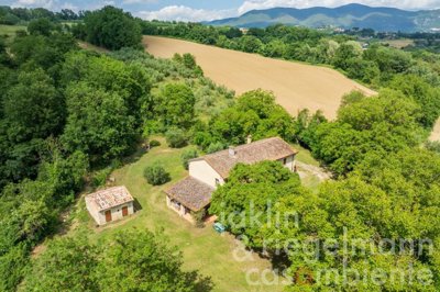 6842d4a34e1d6m419808