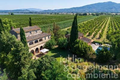 1 - Monte San Savino, Villa