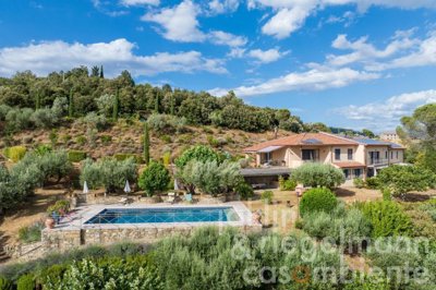 687e6170e9411m424011