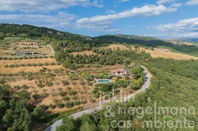 687e618ac9ecfm424007