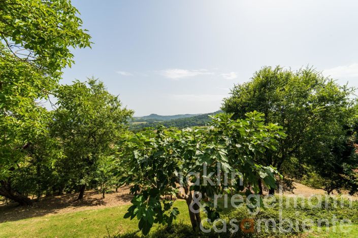 Image No.28-7 Bed Country House for sale