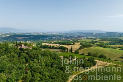 64c3e73d87a4bm649305